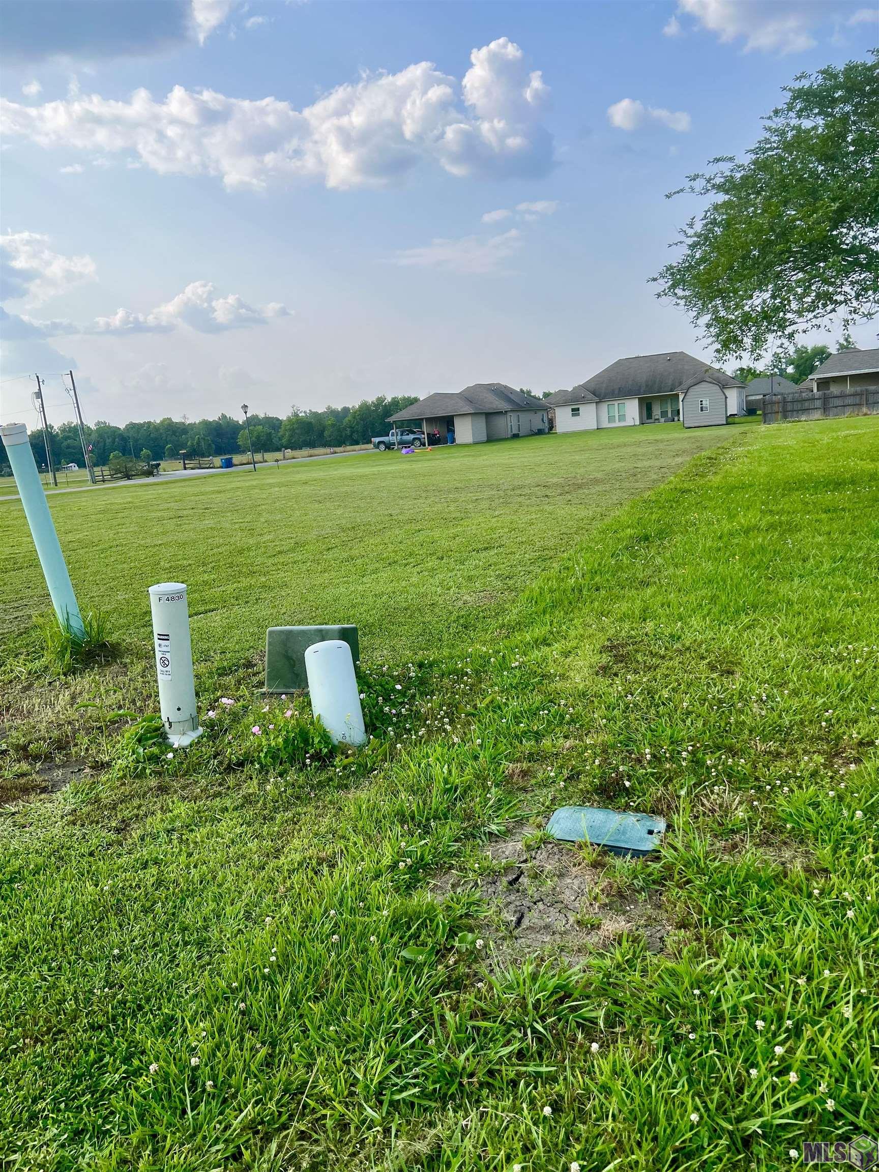4850 Avery Grace Boulevard Addis, LA 70710 - Photo 4 of 6