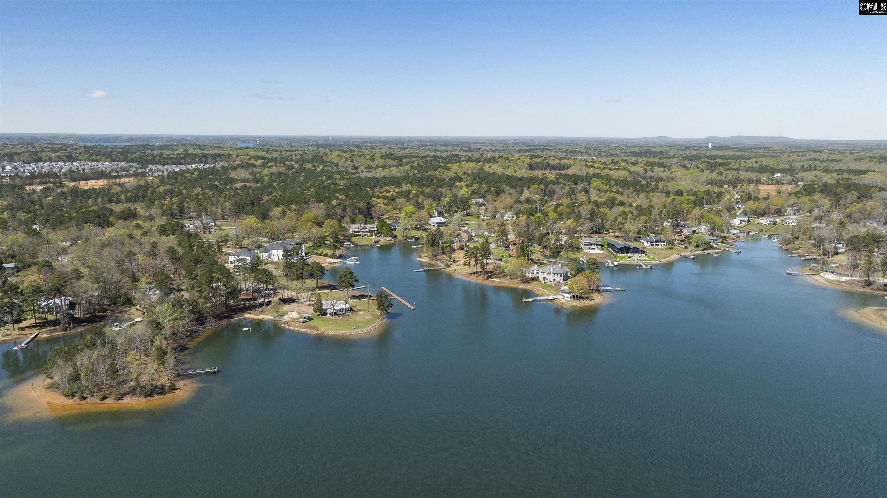 111 Smiths Ford Road Chapin, SC 29036 - Photo 19 of 25