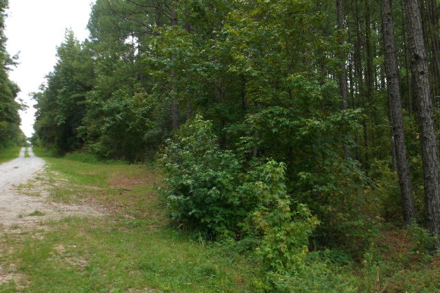 5 Knight Road Waynesboro, GA 30830 - Photo 1 of 1 Main View