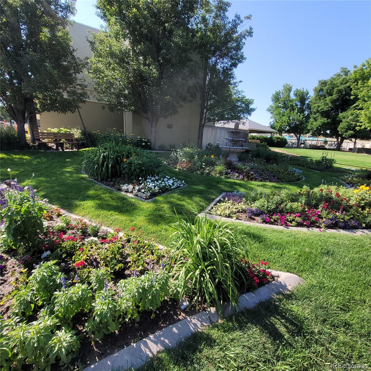 755 South Clinton Street, Unit 6B Denver, CO 80247 - Photo 41 of 48 a view of a garden with plants and large trees