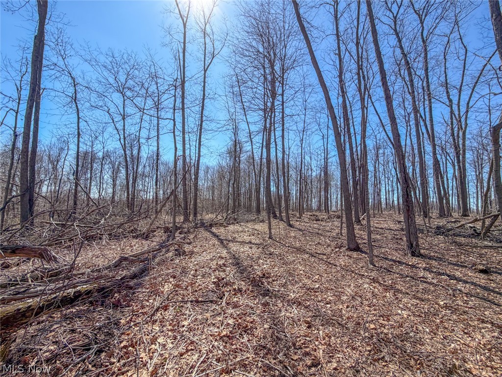 17970 Scott Road Mount Vernon, OH 43050 - Photo 11 of 35