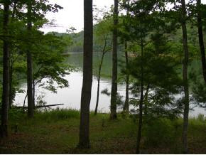 270 Cable Hollow Road Butler, TN 37640 - Photo 4 of 9 Photo 4