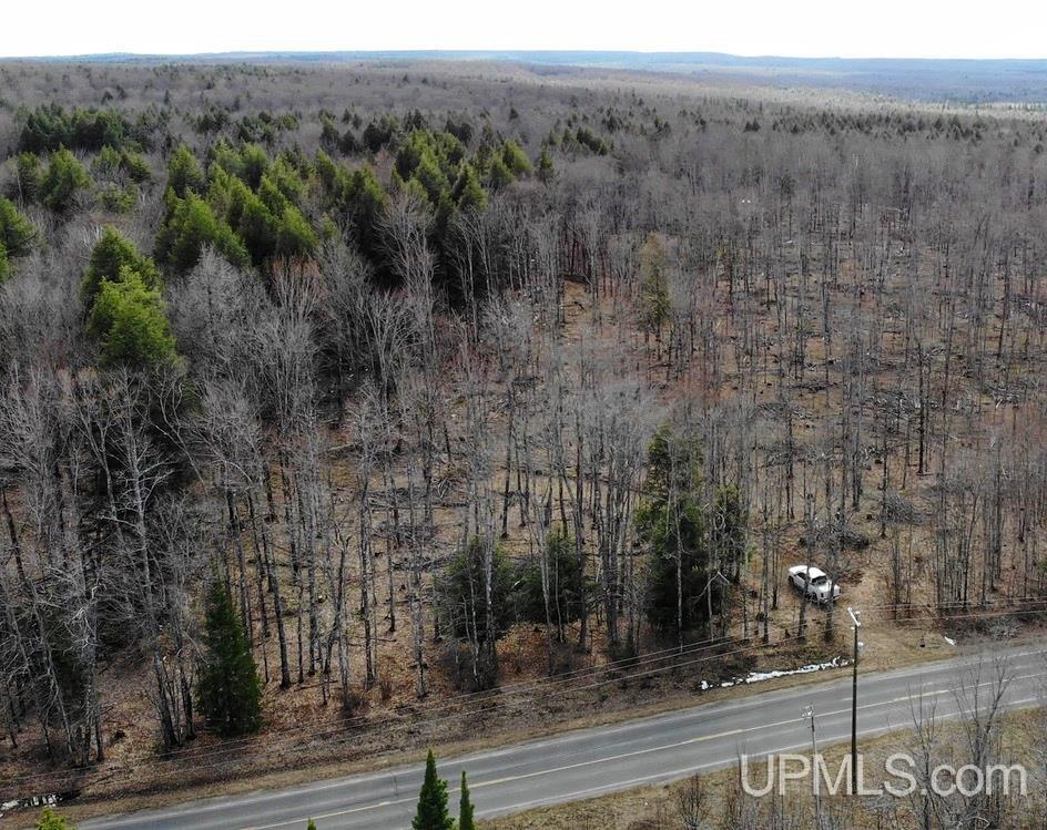 Tbd10 Dog Patch Road, Unit LOT D Lanse, MI 49946 - Photo 1 of 15
