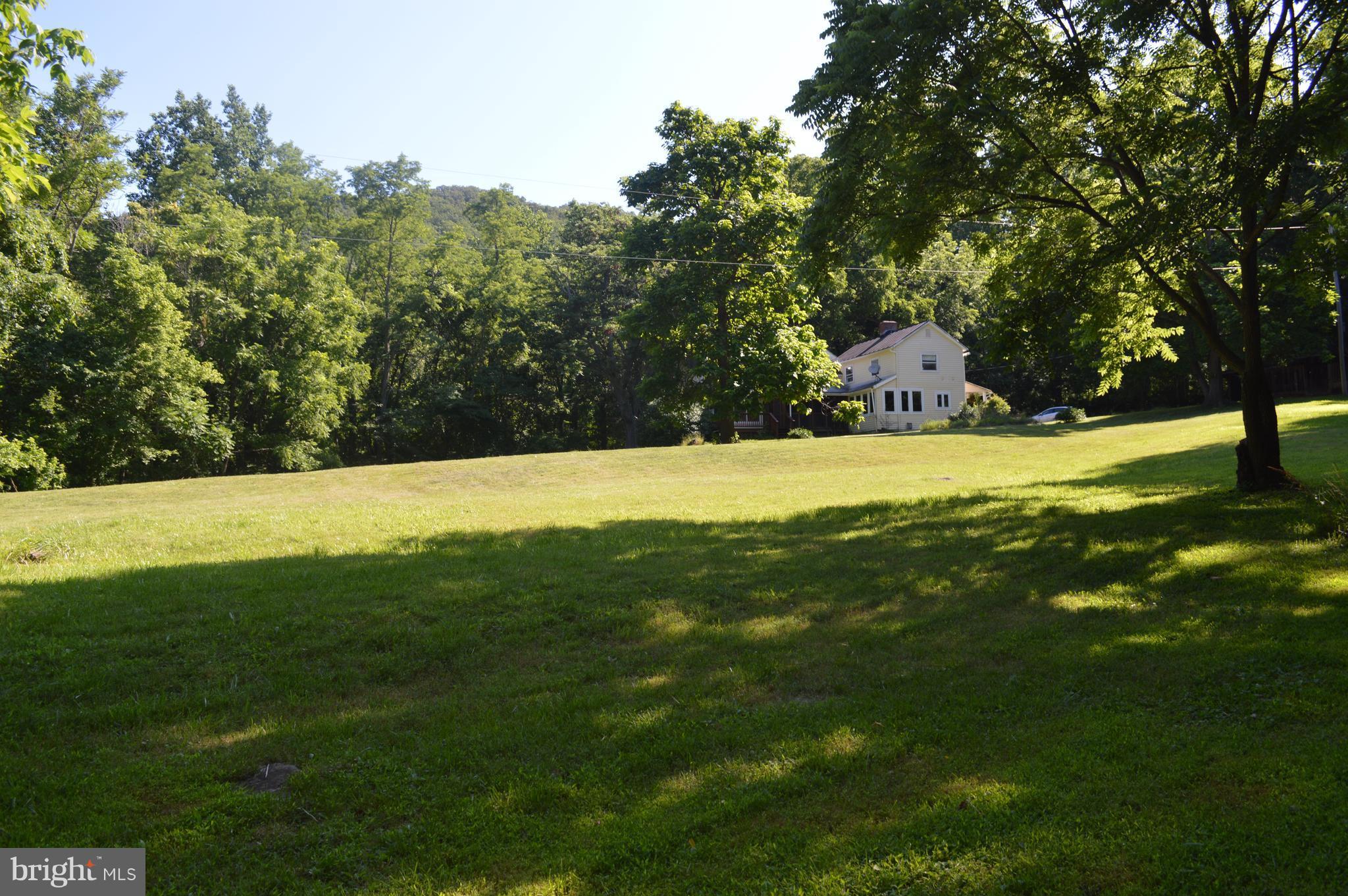 2034 Smith Run Road Bentonville, VA 22610 - Photo 11 of 30 View looking up from the pond