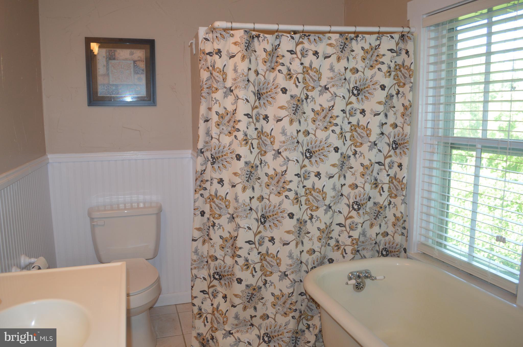 2034 Smith Run Road Bentonville, VA 22610 - Photo 25 of 30 Bath (Master)