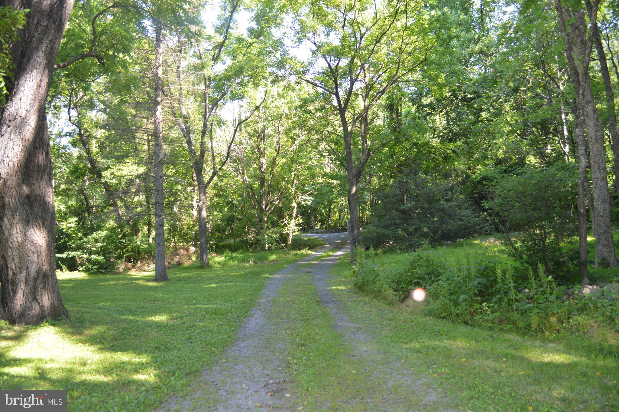2034 Smith Run Road Bentonville, VA 22610 - Photo 30 of 30 Leaving the property. Driveway