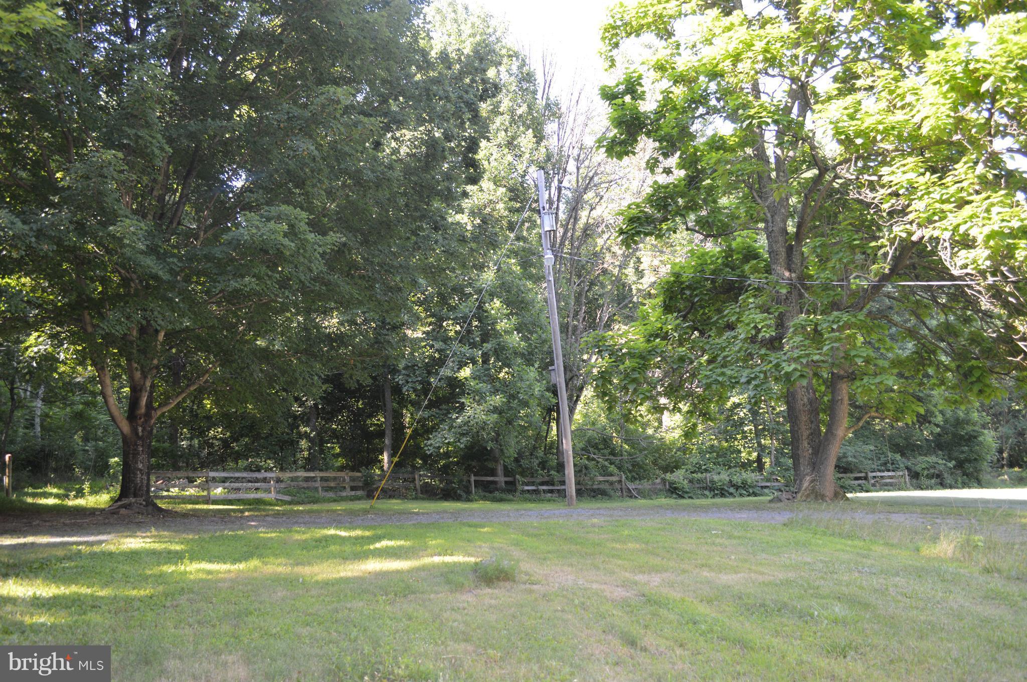 2034 Smith Run Road Bentonville, VA 22610 - Photo 9 of 30 View of the yard