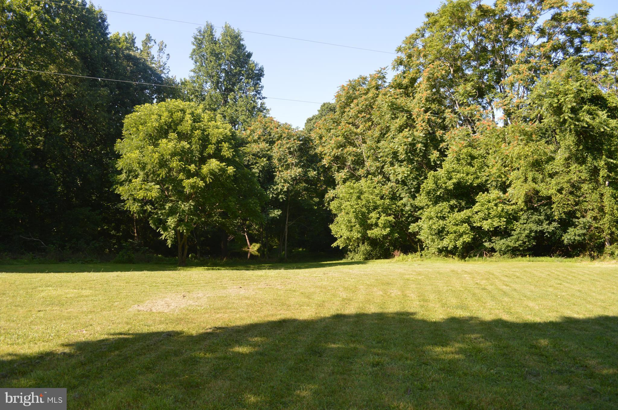 2034 Smith Run Road Bentonville, VA 22610 - Photo 10 of 30 View looking down towards the pond