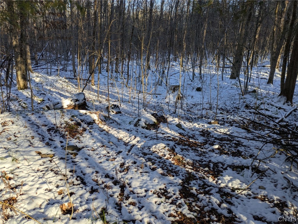 14112 Hermitage Road Diana, NY 13648 - Photo 7 of 10