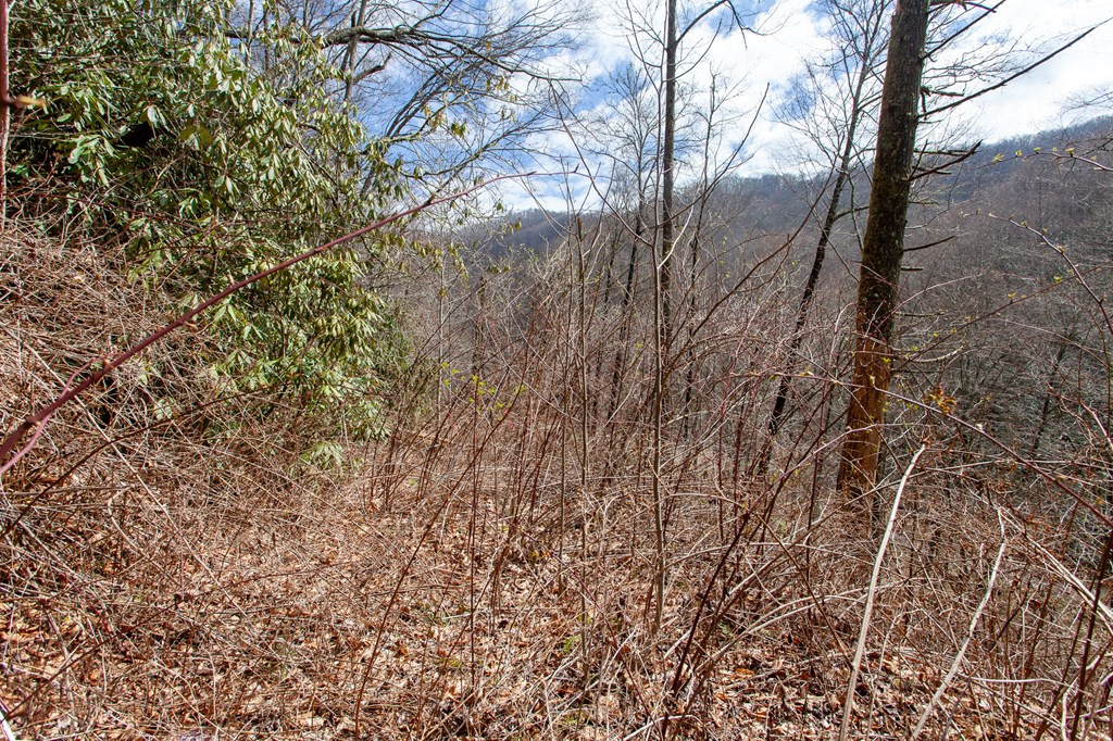0 Little Snowbird Road Robbinsville, NC 28771 - Photo 13 of 19 Gallery Image 13