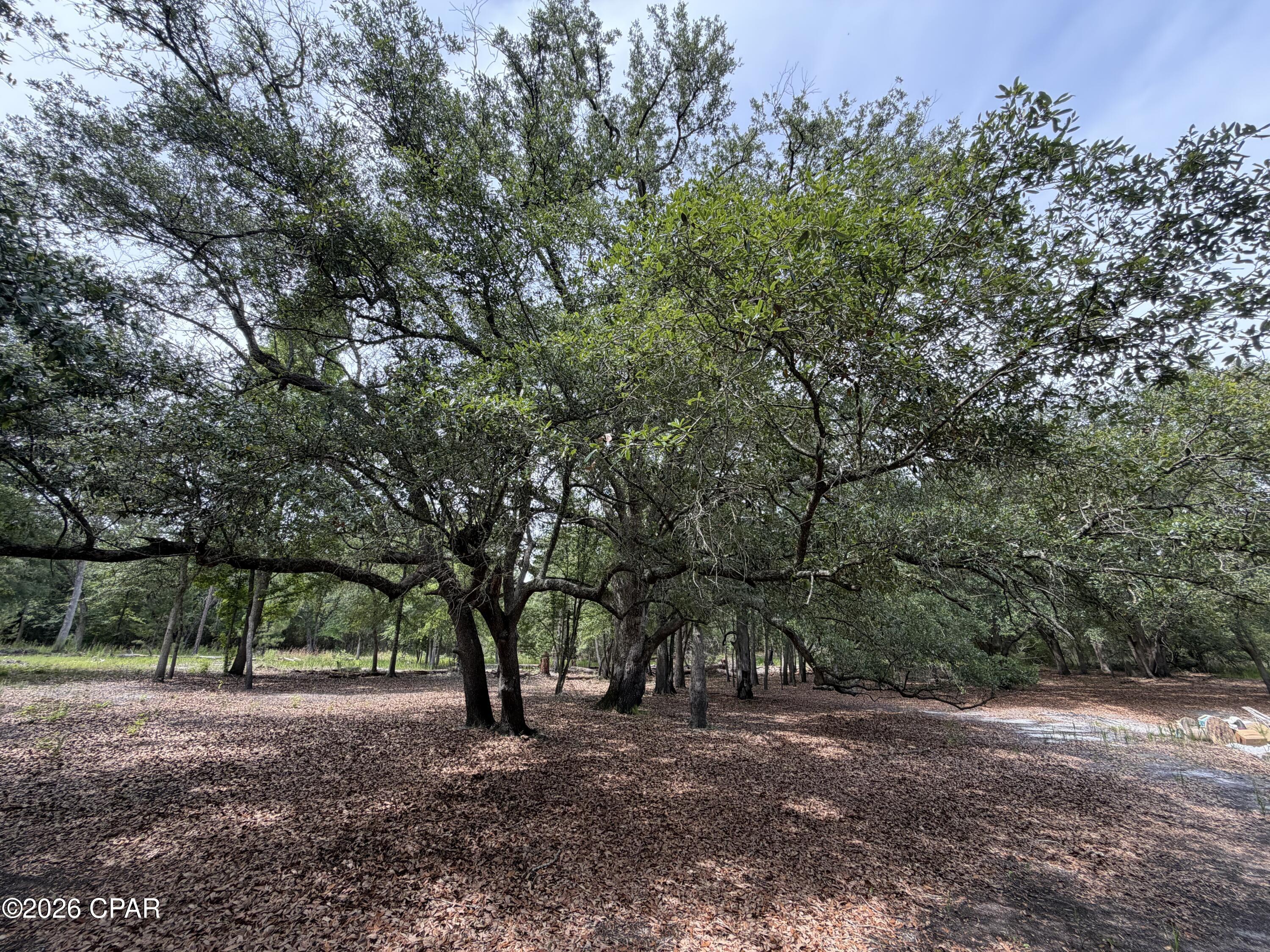 4304 Thunder Road Sneads, FL 32460 - Photo 24 of 27