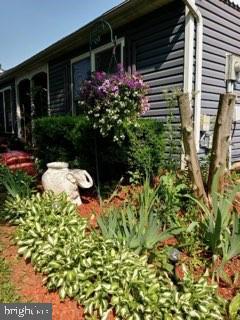 4496 Pheasant Run Reading, PA 19606 - Photo 34 of 37 a backyard of a house with lots of green space