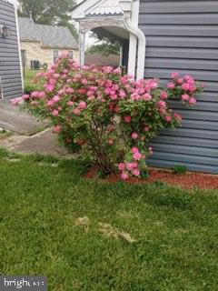 4496 Pheasant Run Reading, PA 19606 - Photo 36 of 37 a flower plants sitting in front of a house