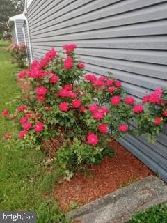 4496 Pheasant Run Reading, PA 19606 - Photo 37 of 37 a view of a flower in a yard