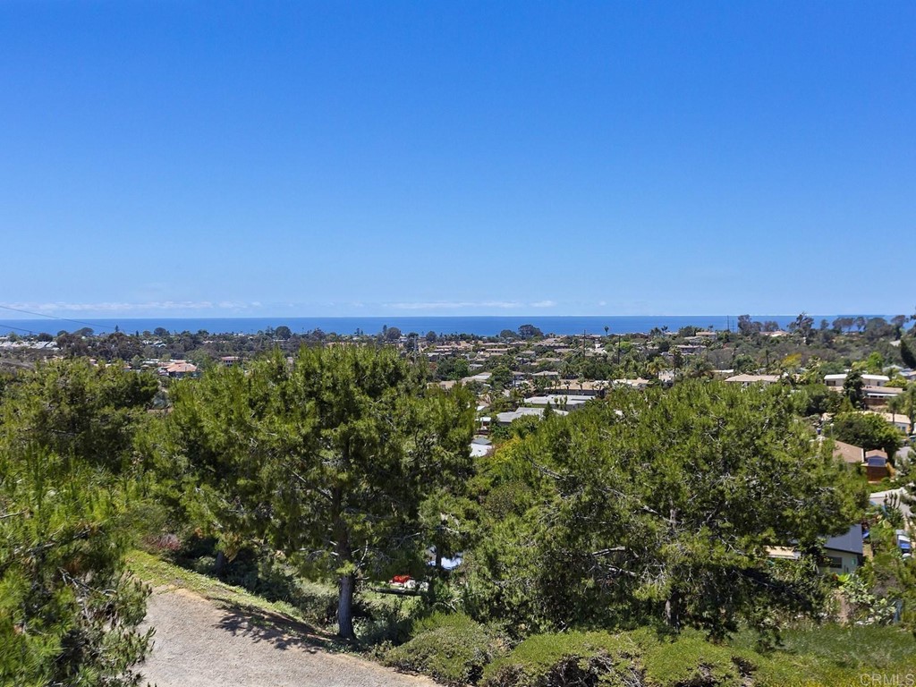 602 West Bluff Court Encinitas, CA 92024 - Photo 51 of 69 a view of a green field