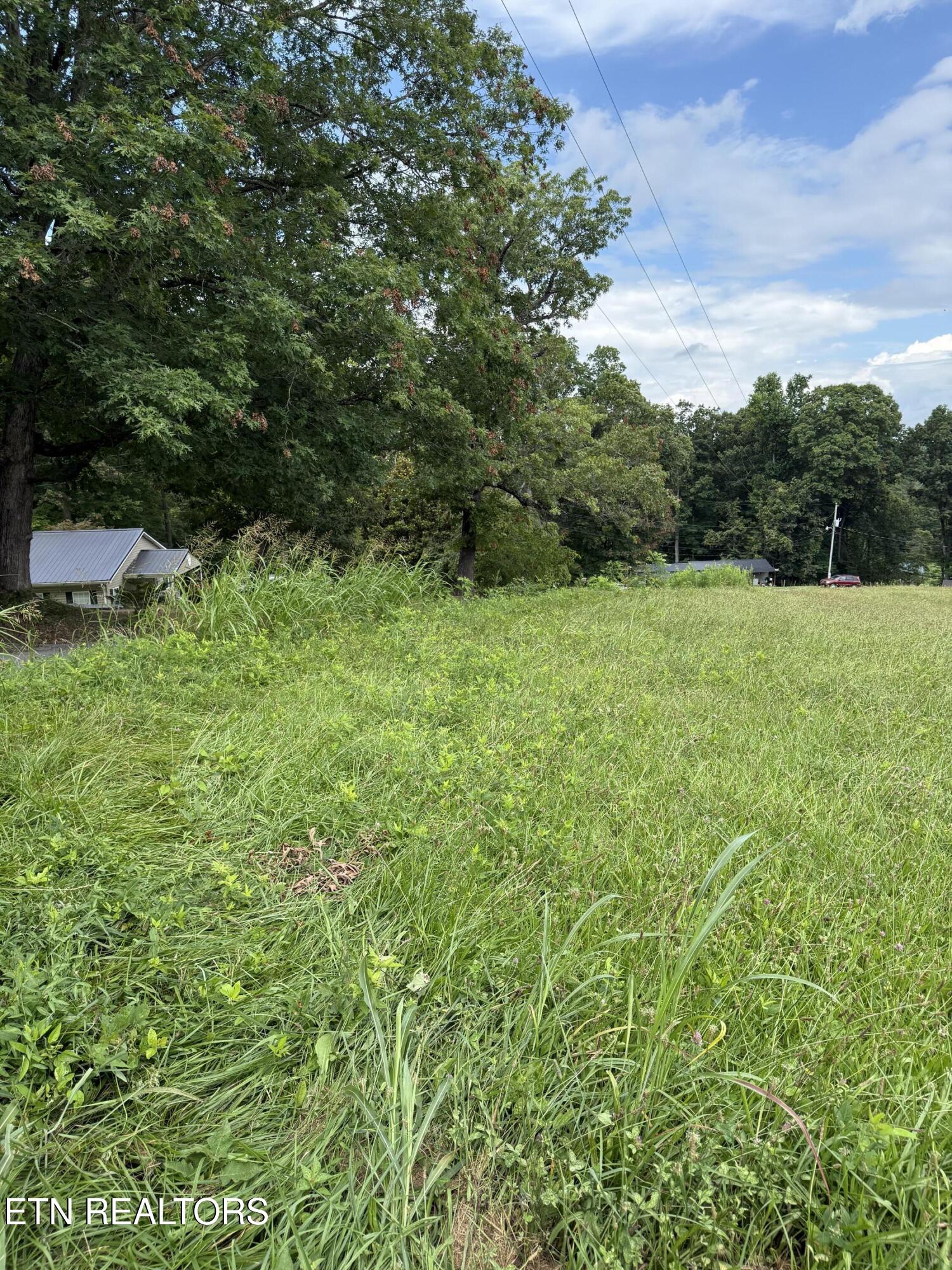 Cupp Ridge Road New Tazewell, TN 37825 - Photo 2 of 10 IMG_0432