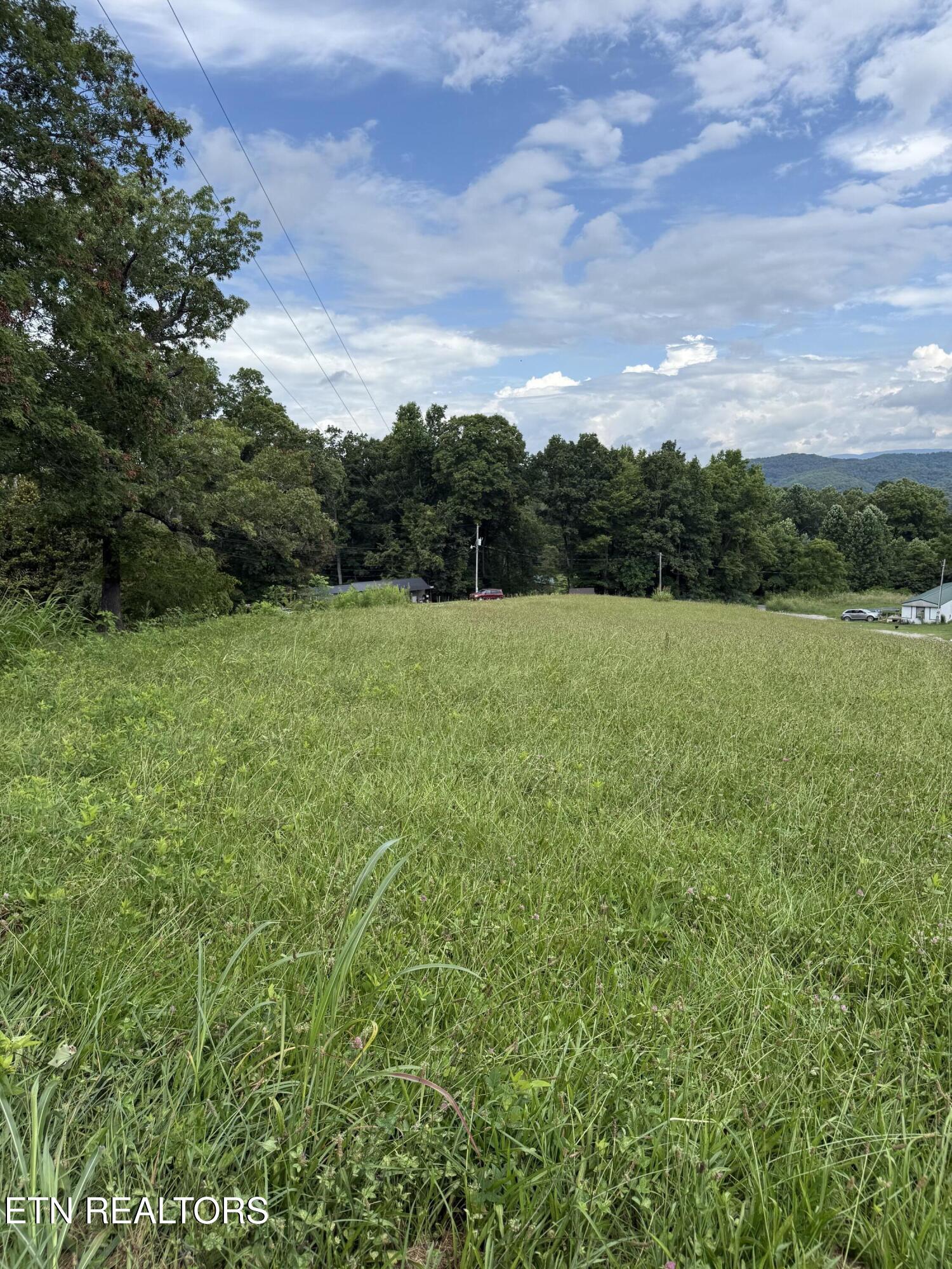 Cupp Ridge Road New Tazewell, TN 37825 - Photo 3 of 10 IMG_0433