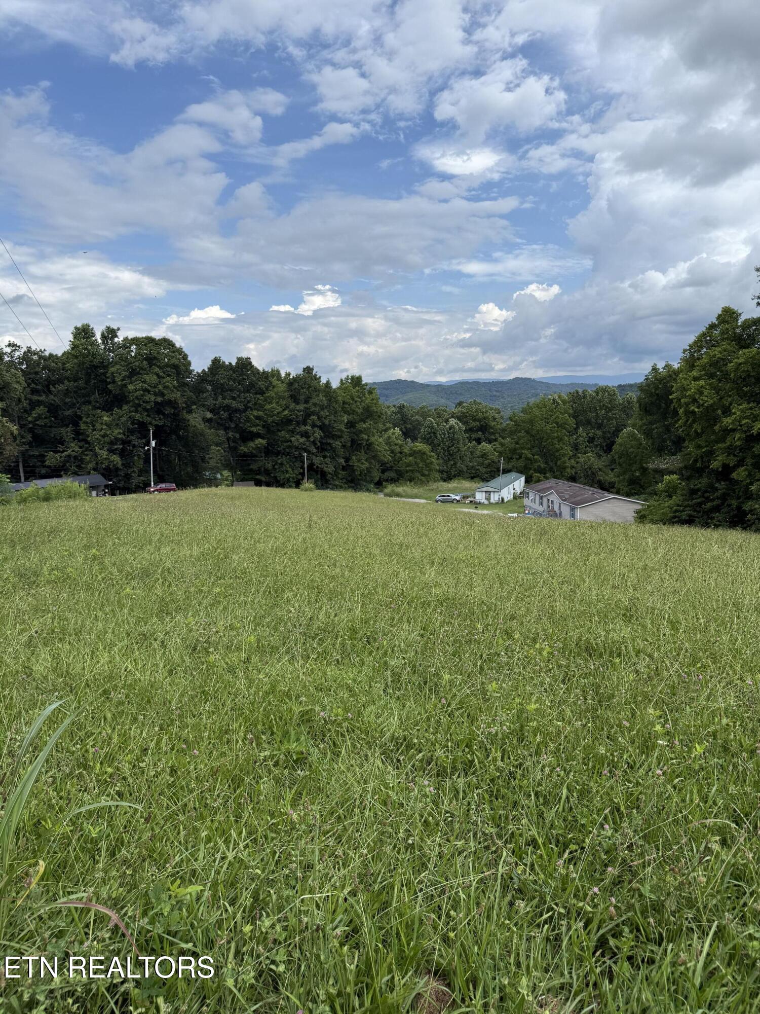 Cupp Ridge Road New Tazewell, TN 37825 - Photo 4 of 10 IMG_0434