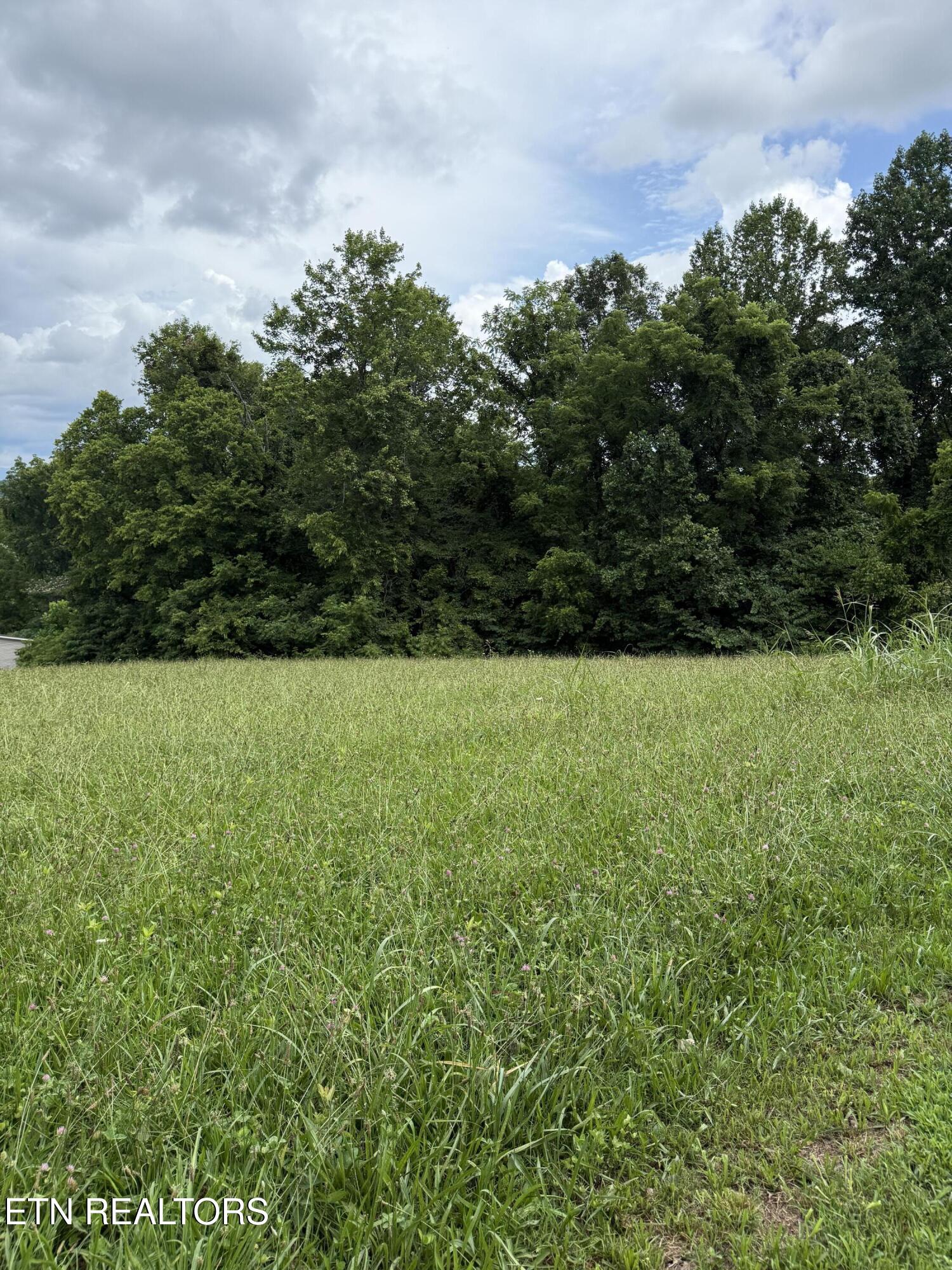 Cupp Ridge Road New Tazewell, TN 37825 - Photo 5 of 10 IMG_0436