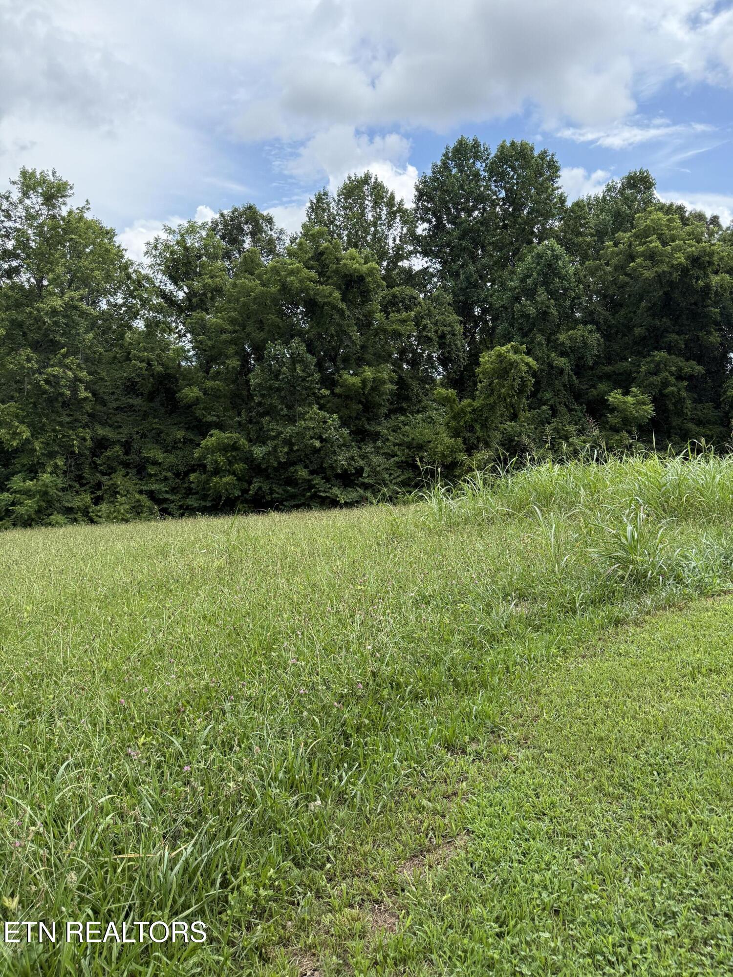 Cupp Ridge Road New Tazewell, TN 37825 - Photo 6 of 10 IMG_0437