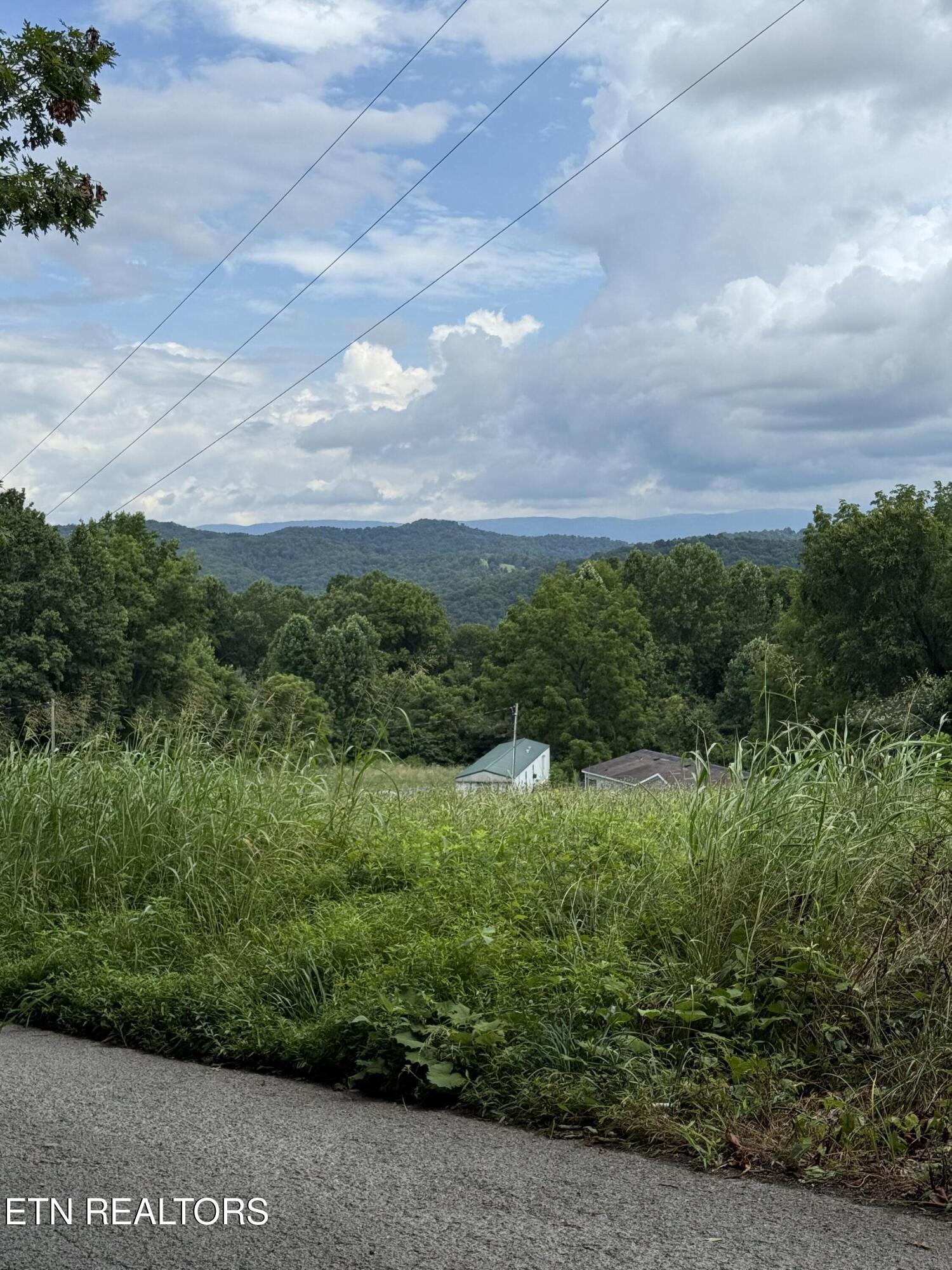 Cupp Ridge Road New Tazewell, TN 37825 - Photo 10 of 10 IMG_0441