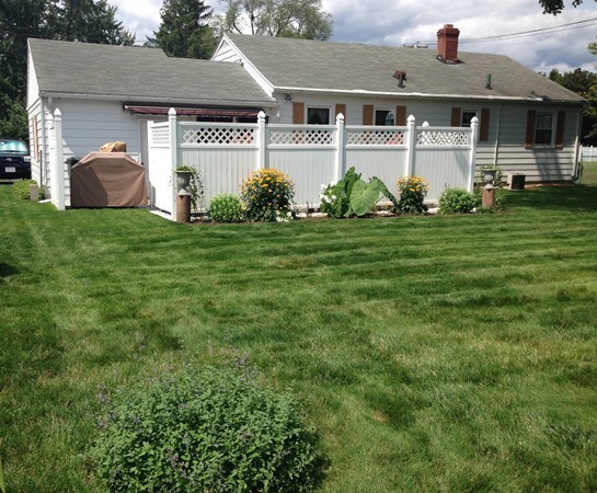 11 Peer Street Springfield, MA 01109 - Photo 6 of 12 a front view of house with yard