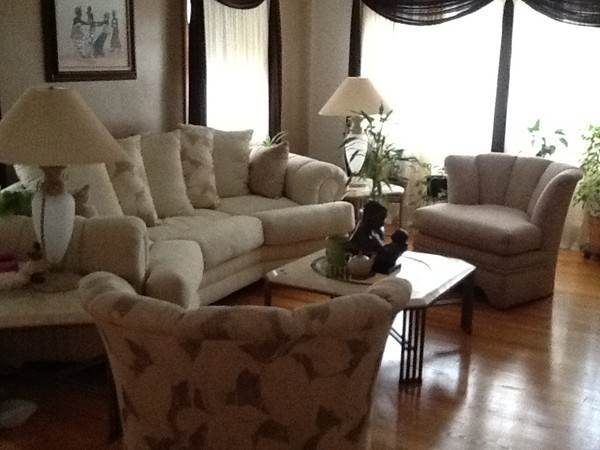 11 Peer Street Springfield, MA 01109 - Photo 10 of 12 a living room with furniture flowerpot and wooden floor