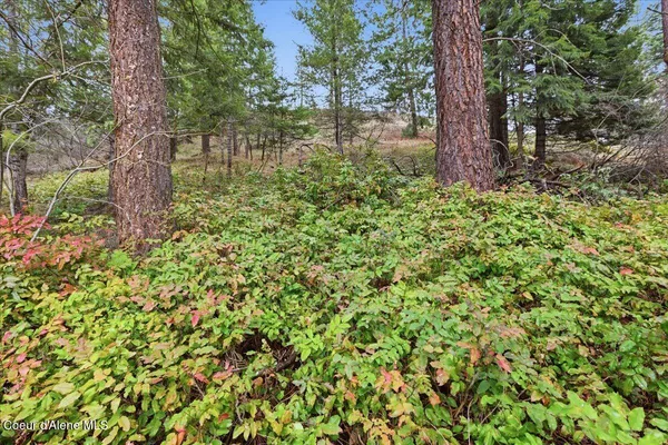 $275,000 | 2586 East Fernan Hill Road, Coeur D'Alene, ID 83814