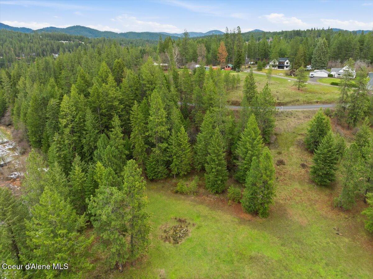2586 East Fernan Hill Road Coeur D'Alene, ID 83814 - Photo 8 of 23 08-2586 E Fernan Hill Rd_RedHogMedia