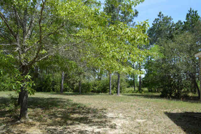 17452 Bemis Lane Elberta, AL 36530 - Photo 21 of 26