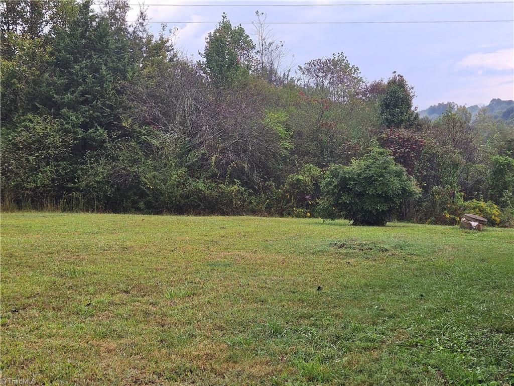 1661 River Siloam Road Siloam, NC 27047 - Photo 10 of 11 Back yard