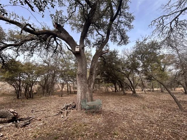 a view of a backyard with large trees