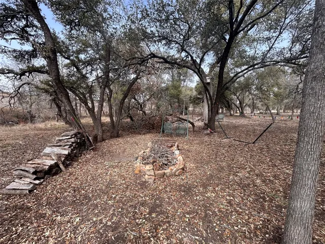a view of a forest with trees in the background