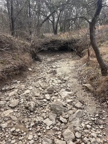 a view of bushes and tree