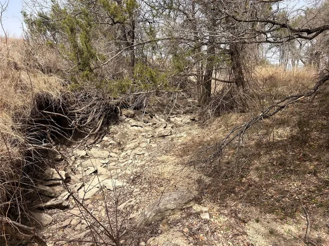 a view of a dry yard with trees