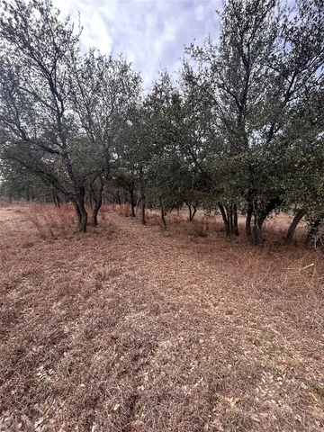 a view of outdoor space with trees