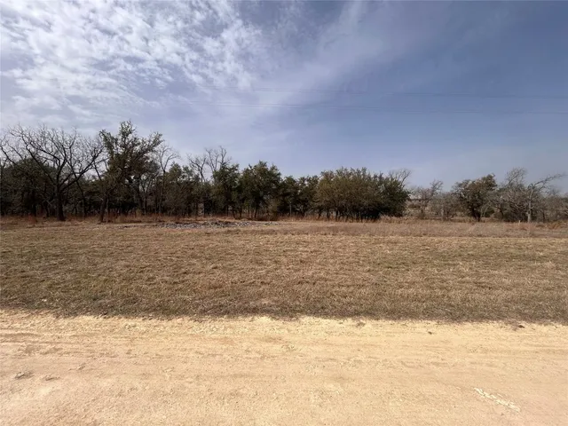 a view of a garden with a tree