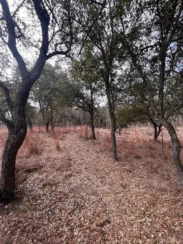 a view of outdoor space