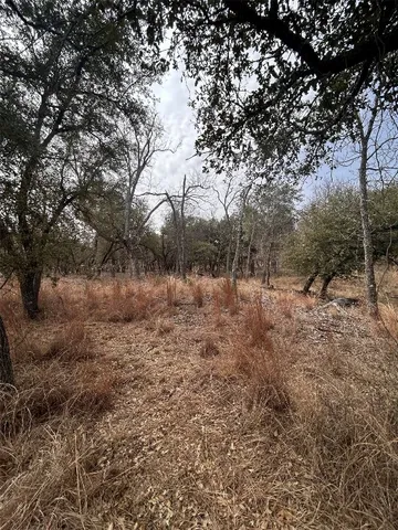 a view of covered with green space