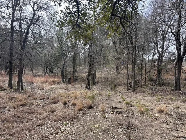 a view of a backyard with large trees