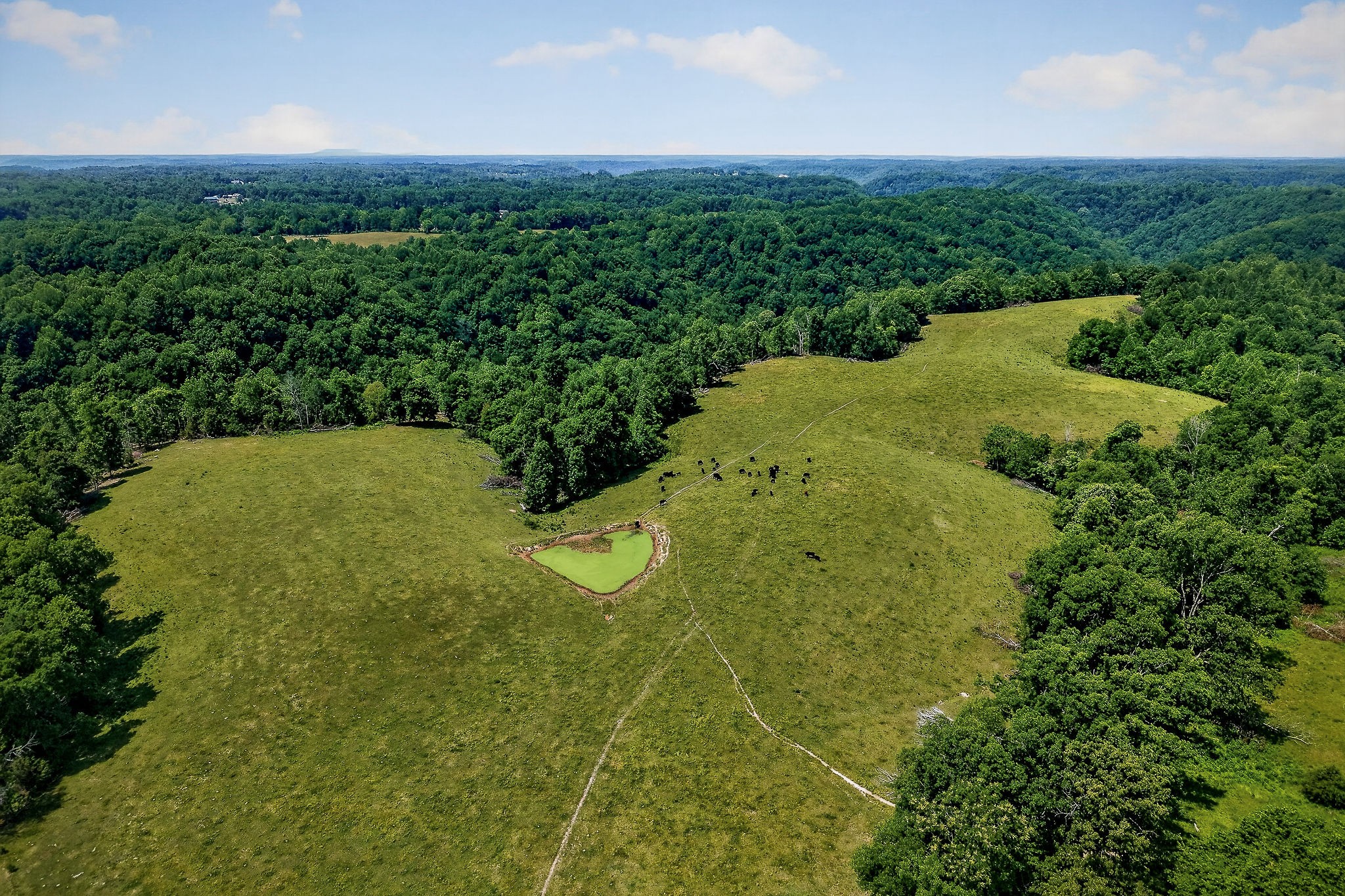 8495 Baxter Road Baxter, TN 38544 - Photo 14 of 62