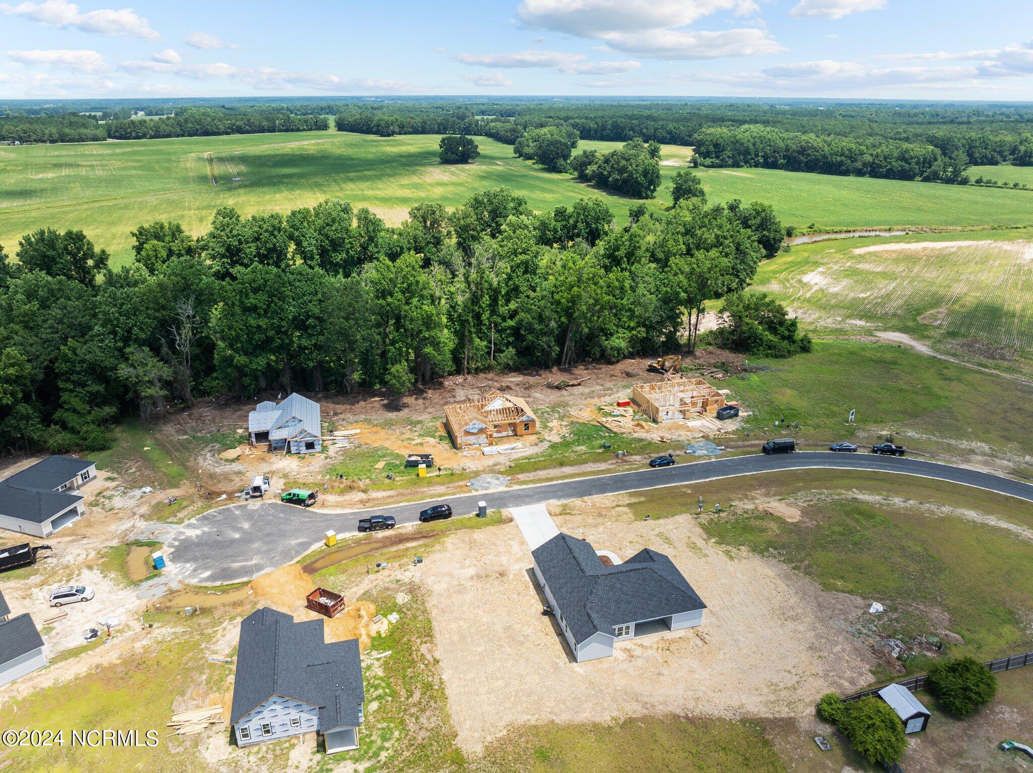 916 Aspen Ridge Court Deep Run, NC 28525 - Photo 38 of 39 39-web-or-mls-DJI_0013