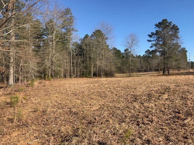 1 D Angela Road Wagener, SC 29164 - Photo 12 of 14