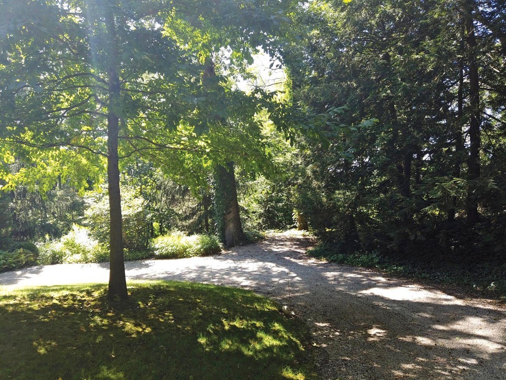 Gallery Image 7