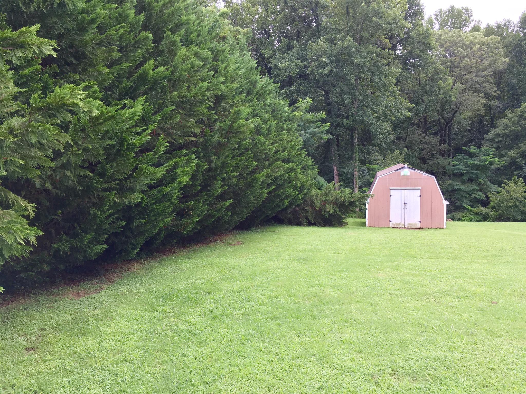 494 Old Snow Hill Road Dowelltown, TN 37059 - Photo 24 of 25 Great privacy provided by the line of mature trees