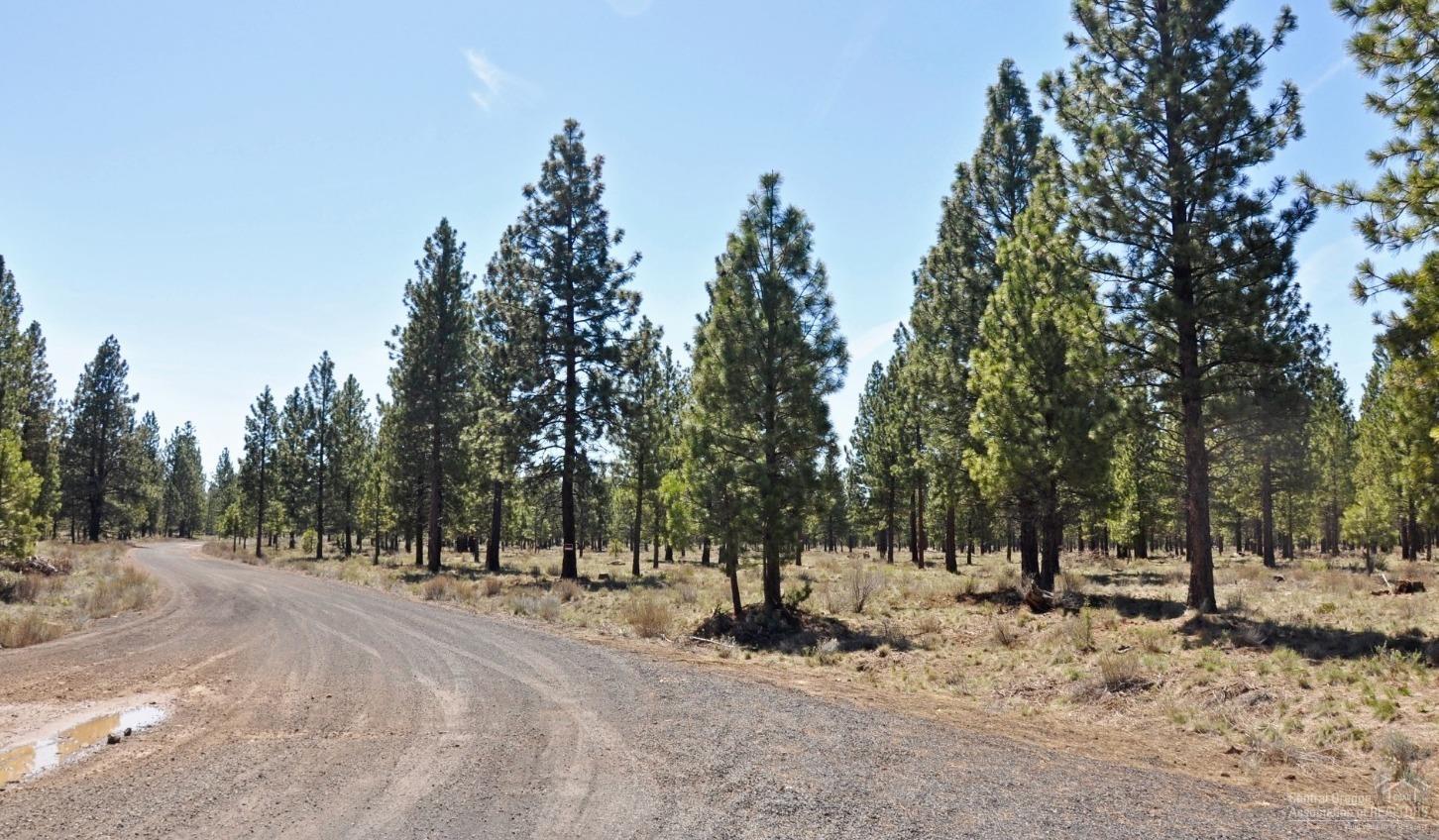 62755 Service Road Bend, OR 97703 - Photo 3 of 24 On Forest Service Road 4606 looking South.