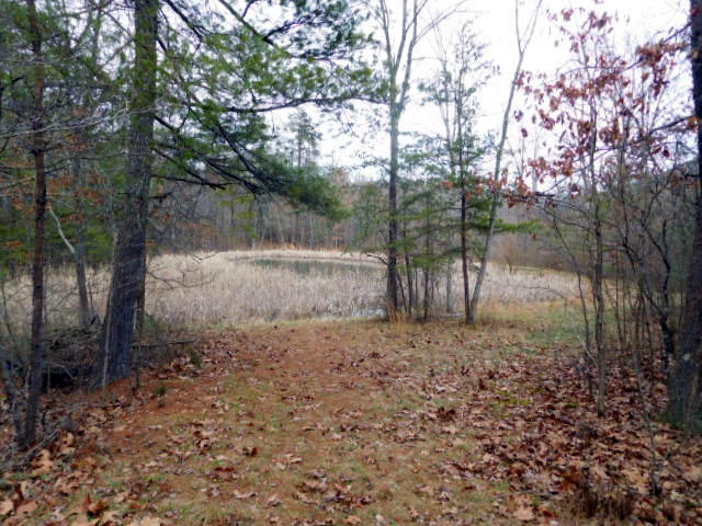 7918 Dunlap Creek Road Covington, VA 24426 - Photo 19 of 26 Property