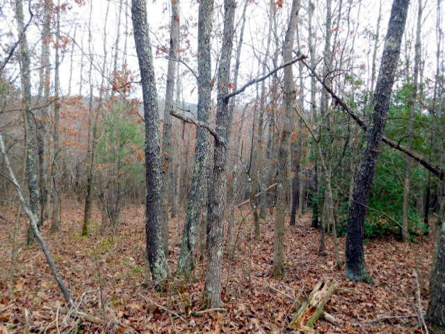 7918 Dunlap Creek Road Covington, VA 24426 - Photo 20 of 26 Property