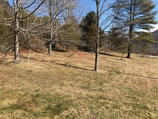 7918 Dunlap Creek Road Covington, VA 24426 - Photo 21 of 26 Property