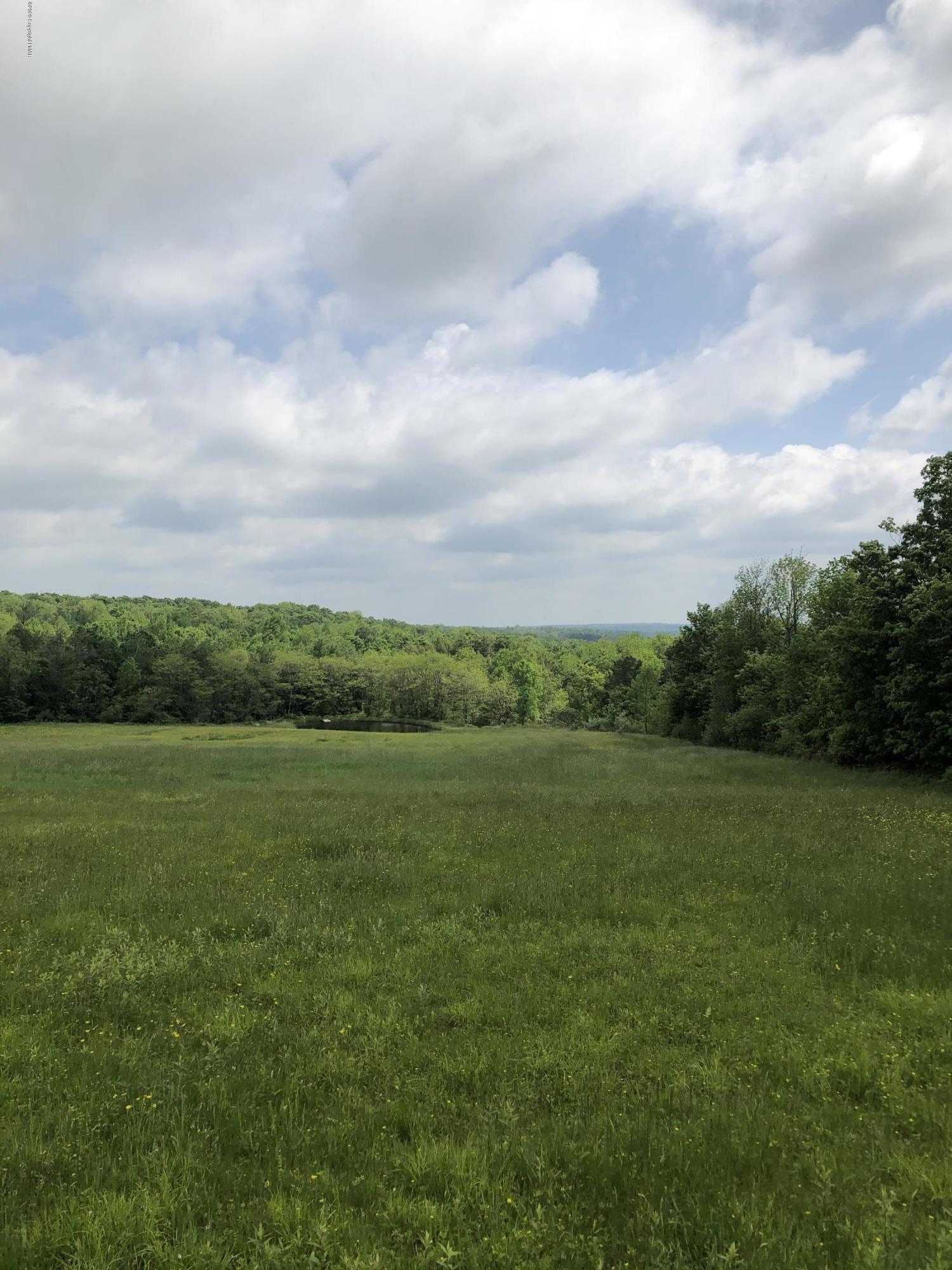 571 Spring Hill Road Moscow, PA 18444 - Photo 8 of 29 a view of field with tall trees